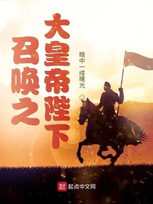 《召唤之大皇帝陛下》小说封面