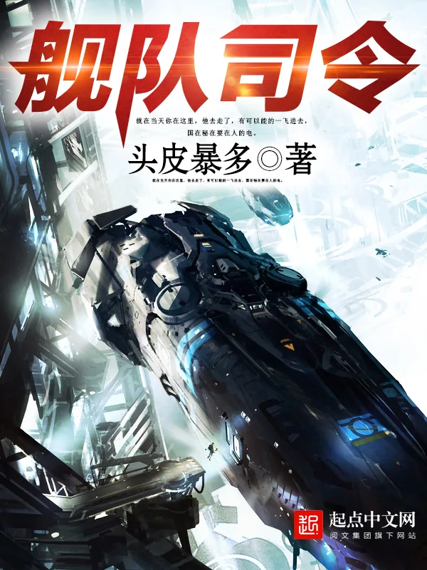 《舰队司令》小说封面