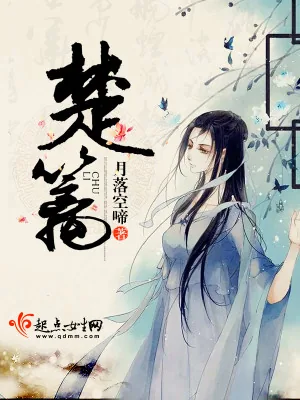 《楚篱》小说封面
