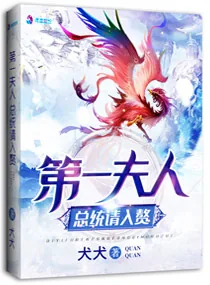 《第一夫人：总统请入赘》小说封面