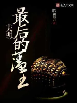 《大明最后的藩王》小说封面