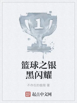 《篮球之银黑闪耀》小说封面