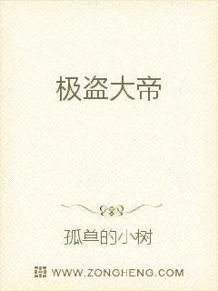 《极盗大帝》小说封面