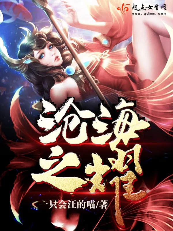 《沧海之耀》小说封面