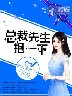 《总裁先生抱一下》小说封面