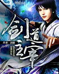 《剑道主宰》小说封面