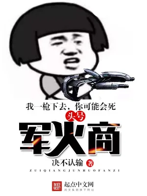 《头号军火商》小说封面