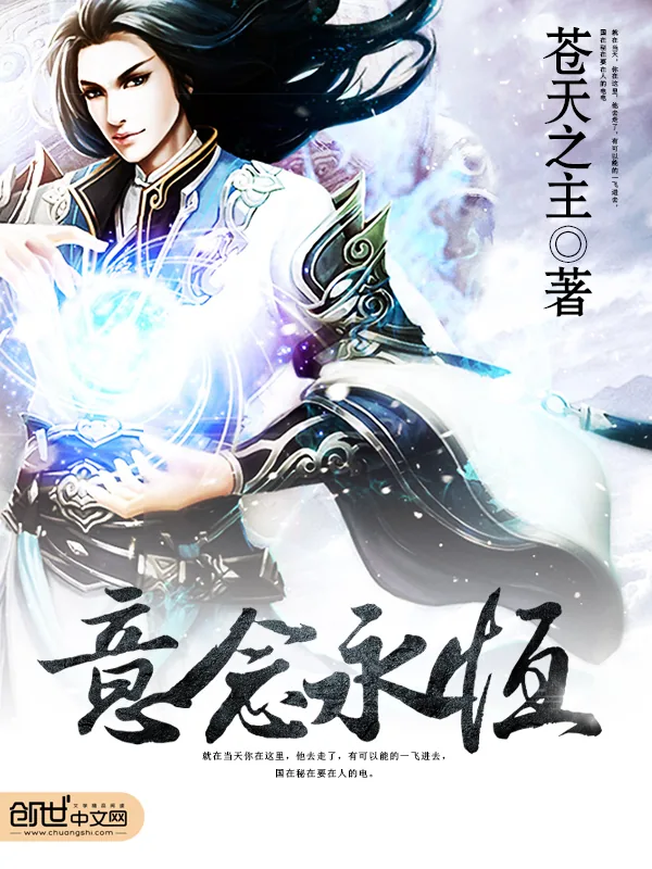 《意念永恒》小说封面