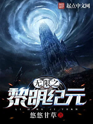 《无限之黎明纪元》小说封面