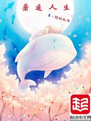《萧遥人生》小说封面