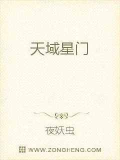 《天域星门》小说封面