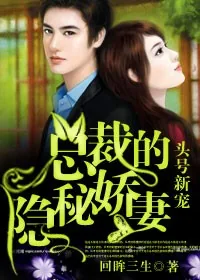 《头号新宠，总裁的隐秘娇妻！》小说封面