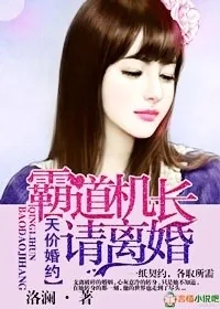《天价婚约，霸道机长请离婚》小说封面
