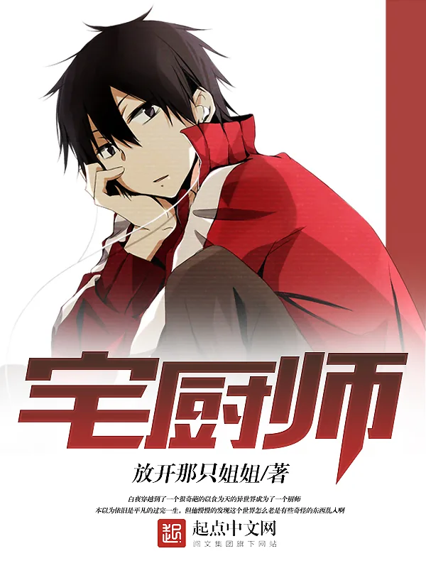 《宅厨师》小说封面