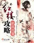 《红楼攻略》小说封面