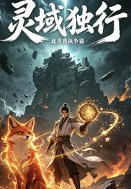 《灵域独行：此世争苍穹》小说封面