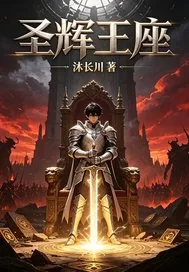 《永恒圣辉》小说封面