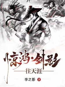 《惊鸿，剑影，往天涯》小说封面
