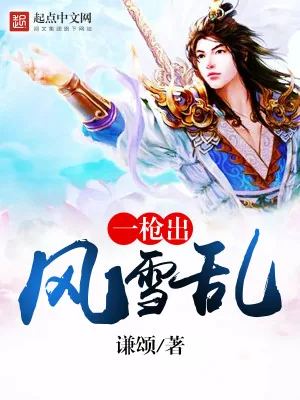 《一枪出，风雪乱》小说封面
