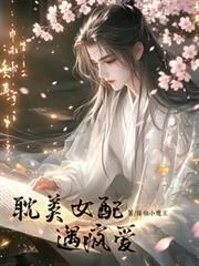 《耽美女配遇疯爱》小说封面