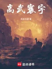《高武寰宇》小说封面