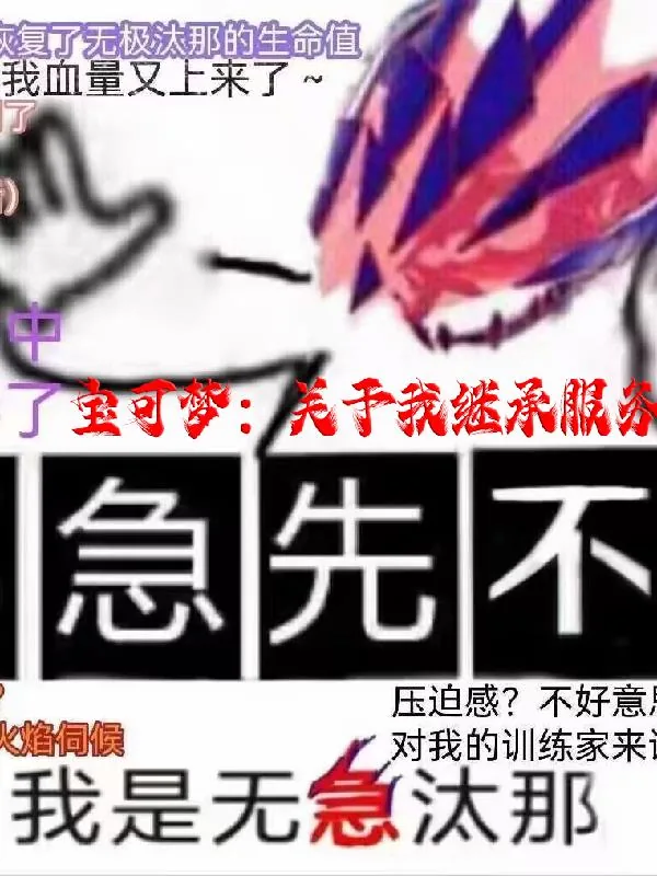 《宝可梦：关于我继承服务器存档》小说封面