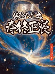 《综穿：体验人生之寿终正寝》小说封面