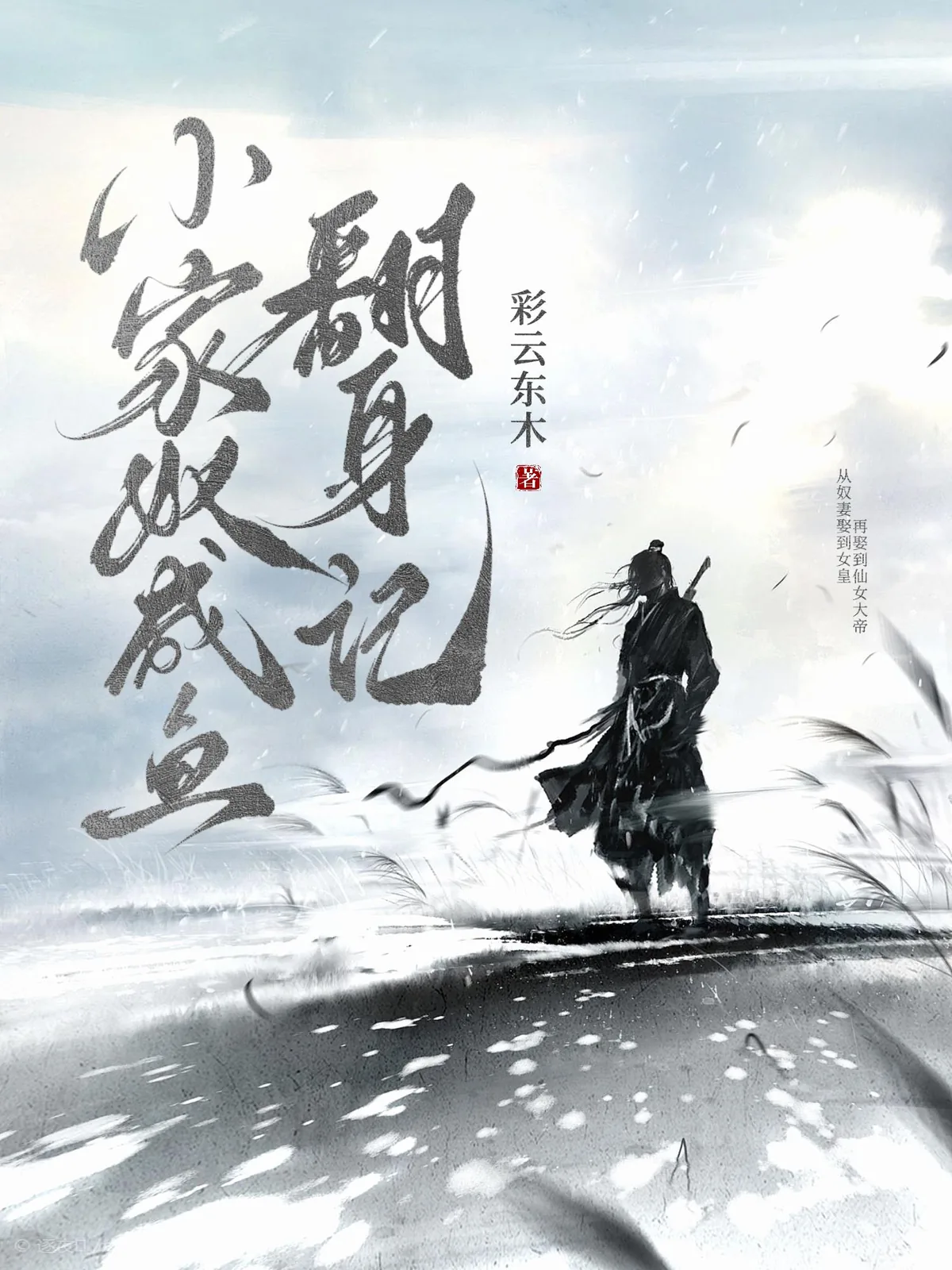 《小家奴咸鱼翻身记》小说封面