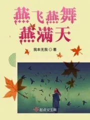 《燕飞燕舞燕满天》小说封面
