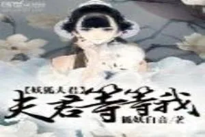 《妖狐夫君等等我》小说封面