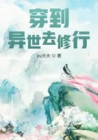 《穿到异世去修行》小说封面