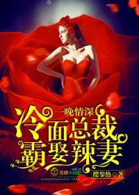 《一晚情深，冷面总裁霸娶辣妻》小说封面