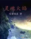 《灵魂火焰》小说封面