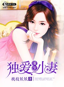 《独爱重生小妻》小说封面