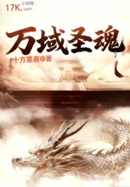 《万域圣魂》小说封面