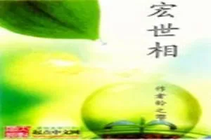 《宏世相》小说封面
