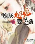 《炮灰姐姐要逆袭》小说封面