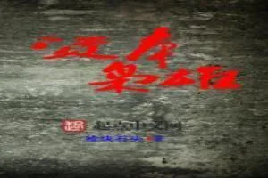 《资本枭雄》小说封面