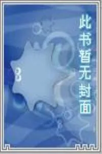 《黎明之光菜鸟崛起时》小说封面