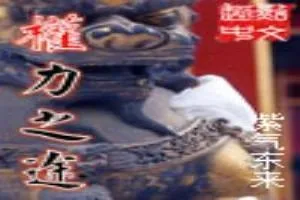《权力之途》小说封面