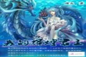 《我的辉煌君主》小说封面