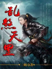《乱煞天罡》小说封面