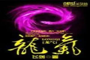 《龙气》小说封面