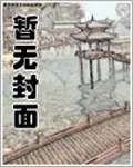 《皇明天变》小说封面