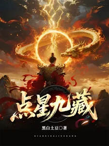 《点星九藏》小说封面