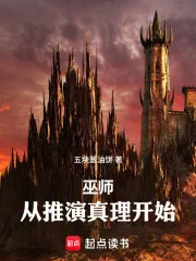 《巫师：从推演真理开始》小说封面