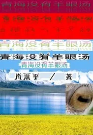 《青海没有羊眼汤》小说封面