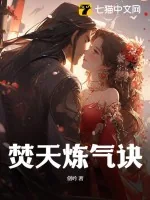 《焚天炼气诀》小说封面