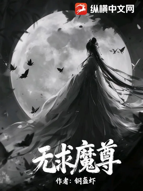 《无求魔尊》小说封面