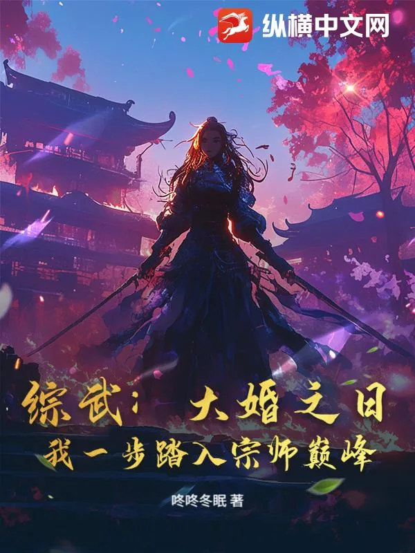 《综武：大婚之日，我一步踏入宗师巅峰》小说封面